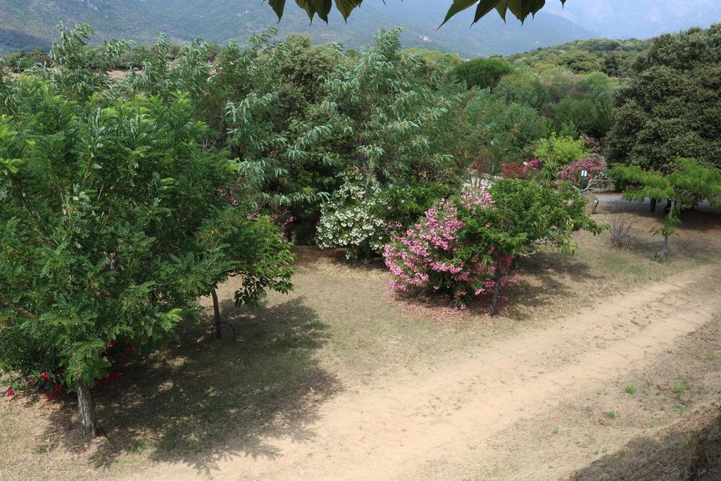 Camping Les Couchants Casaglione Exterior photo